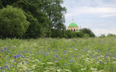Крестный ход к храму Святой Троицы д. Федяево