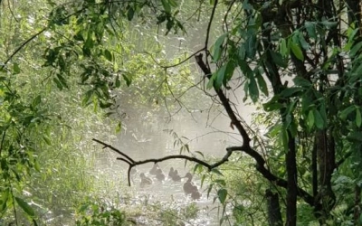 18 июня – День памяти матушки Макарии