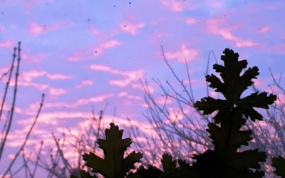 Восход над монастырём