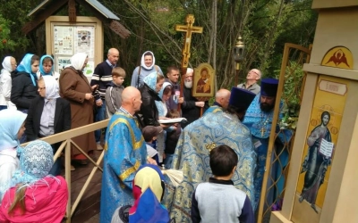 Престольный праздник храма иконы Божией Матери «Одигитрия» с. Тёмкино