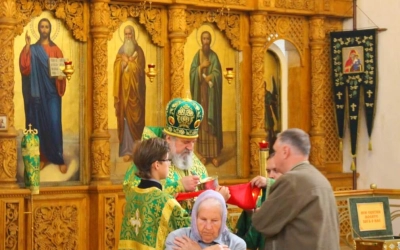 Архипастырское служение в день памяти прп. Аркадия Вяземского