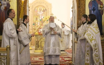 Божественная литургия в Димитриевскую родительскую субботу