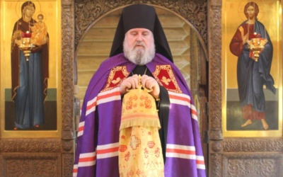 Архипастырское служение в Свято-Владимирском мужском монастыре
