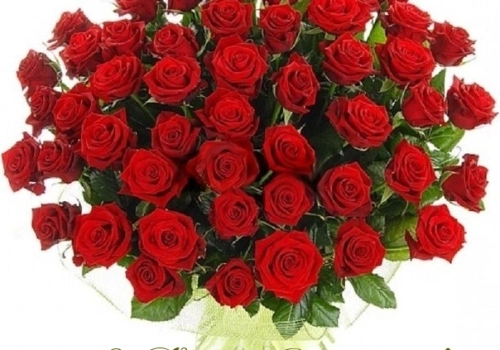 Поздравления адресованные Преосвященнейшему Сергию, епископу Вяземскому и Гагаринскому по случаю дня рождения