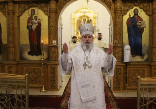 Архиерейское служение в праздник Лазаревой Субботы