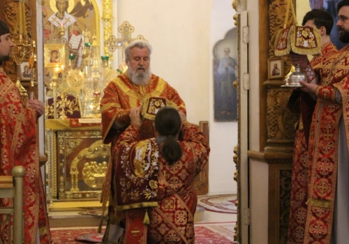 Божественная Литургия в день памяти священномученика Емилиана (Панасевича)