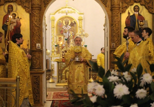 Божественная Литургия в Свято-Троицком кафедральном соборе