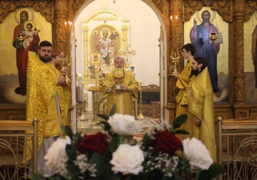 Божественная Литургия в Свято-Троицком кафедральном соборе