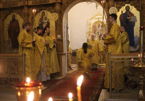 Божественная Литургия в Свято-Троицком кафедральном соборе