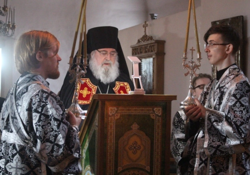 Служение Епископа Вяземского и Гагаринского Сергия. Мариино стояние