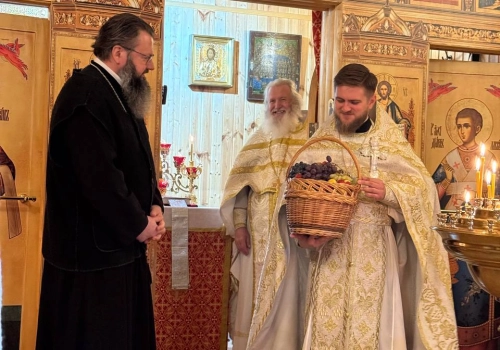 Архипастырь поздравил с праздником Преображения Господня настоятеля и приход храма в деревне Рай