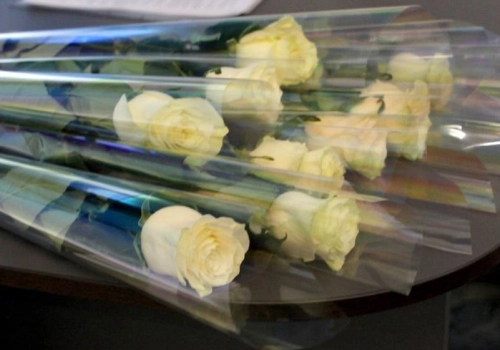 Торжественное августовское совещание педагогических работников образовательных учреждений Вяземского Муниципального округа