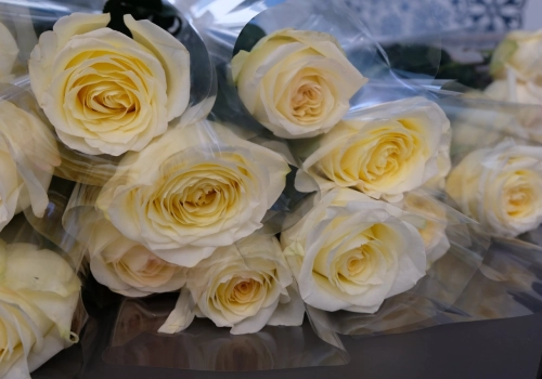 Руководитель епархиального ОРОиК поздравил Вяземских педагогов с Днем учителя