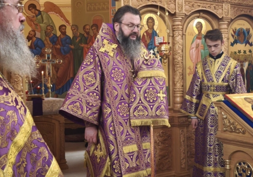 Архипастырь совершил Литургию в храме Вознесения Господня в д. Рыбки
