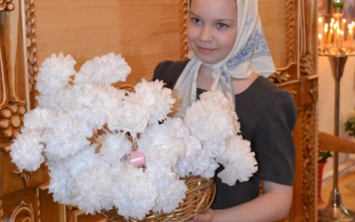 Первый этап акции «Белый цветок»