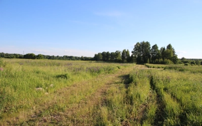 Губернатор в Спасо-Богородицком монастыре