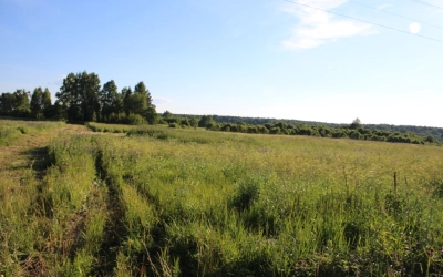 Губернатор в Спасо-Богородицком монастыре