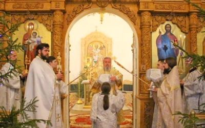 Рождественская Божественная литургия в Свято-Троицком кафедральном соборе г. Вязьма