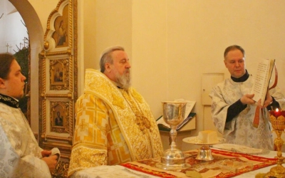 Рождественская Божественная литургия в Свято-Троицком кафедральном соборе г. Вязьма