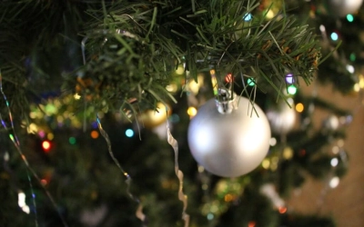 Епископ Сергий поздравил воспитанников «Ново-Никольского детского дома-интерната» с Рождеством Христ