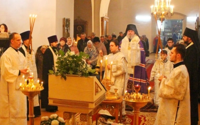 Архипастырское служение накануне Крещения Господня