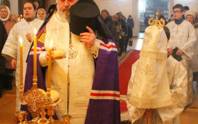 Архипастырское служение накануне Крещения Господня