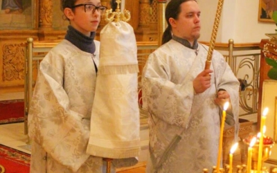 Архипастырское служение накануне Крещения Господня