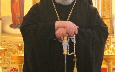 Архипастырское служение накануне Крещения Господня