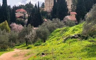 Паломничество на Святую Землю
